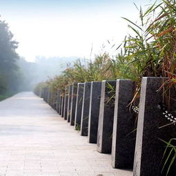 中邦園林兩項工程榮膺2018年度中國園林綠化優(yōu)秀施工項目