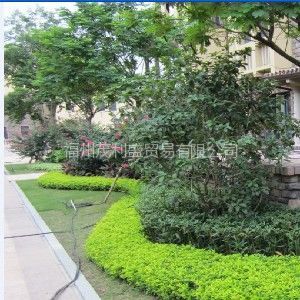 福州園林綠化 設(shè)計、施工與工程實(shí)例全覽